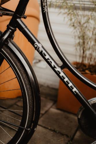 De Appelvink Emst De Appelvink Emst