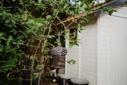 De Appelvink Emst De Appelvink Emst