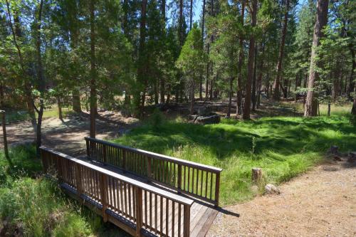 New Beginnings at The Redwoods Cabin