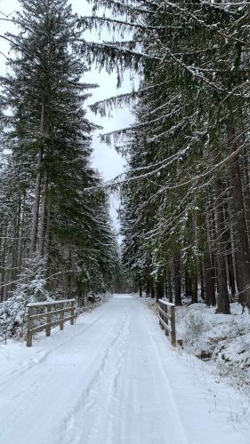 Apartament Hakerówka, Szklarska Poręba (foto 9)