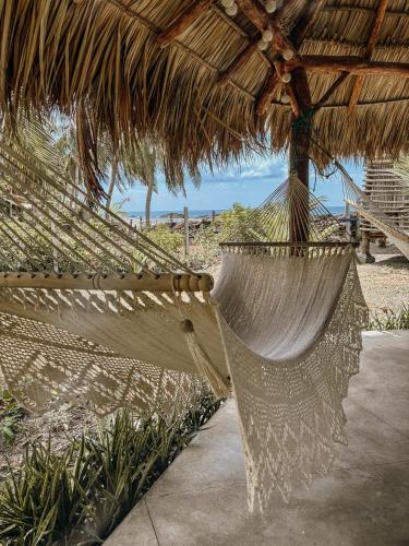 Skats, Nimbu Beachhouse in El Transito