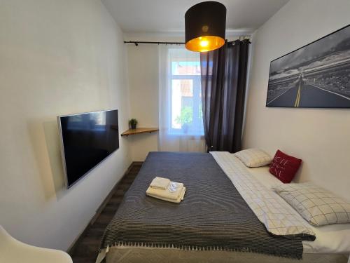 One-Bedroom Apartment image 8