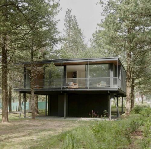 Casa entre pinos in El Trapiche