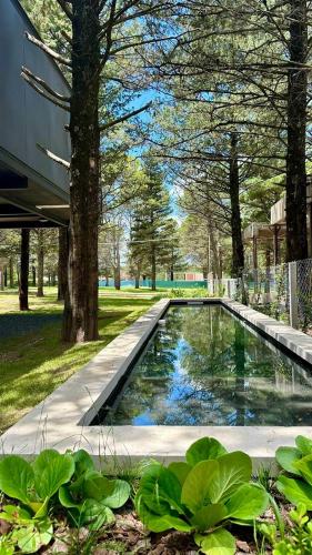 Casa entre pinos in El Trapiche