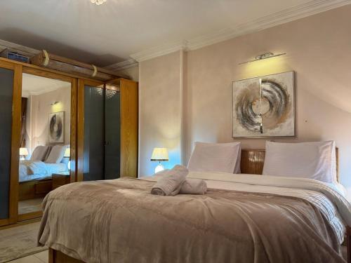 ASHRI Super Deluxe Apartment in Nasr City, Spacious and Central