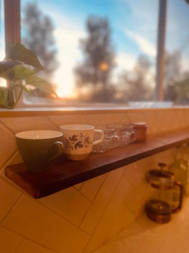 The Botanist in Blagdon