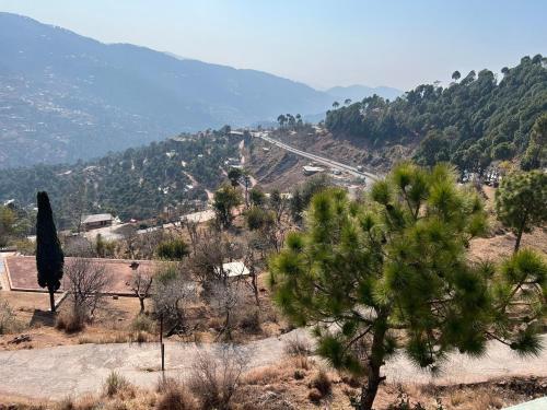 Asad’s Peaceful Nest - image 6