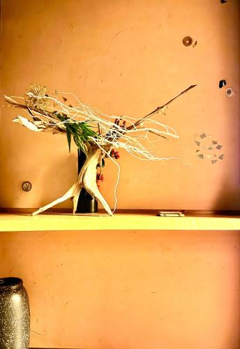 Private Villa ietona