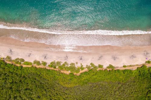 Palms 23 Luxury Beachfront Villa