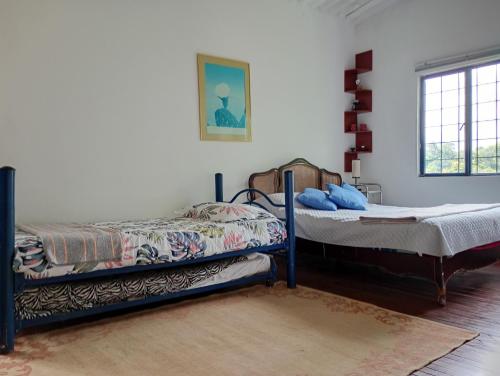 3 bunk beds