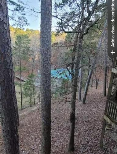 Bear Den on Lake Ouachita 2BR Condo at Mountain Harbor Resort, Mount Ida (foto 6)