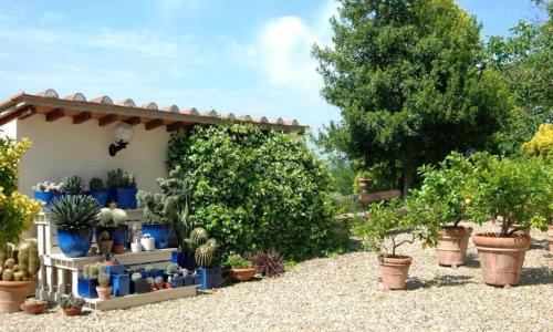 Il Frantoio delle Grazie - image 9