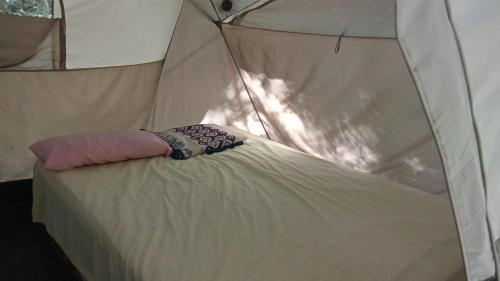 Campamento Yaax Che en Calakmul in Chicanna