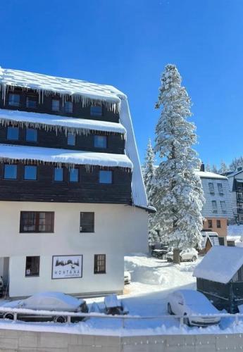 MONTANA - Apartment - Jahorina