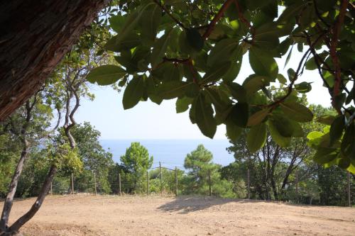 Camping Mozziconaccio - main image