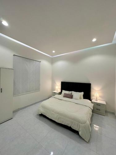 رونق المصيف