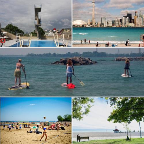 Toronto downtown Woodbine beaches private cozy room near กรีกทาวน์ ออน เดอะ แดนฟอร์ธ