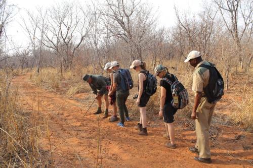 Kingfisher Creek Safari Lodge