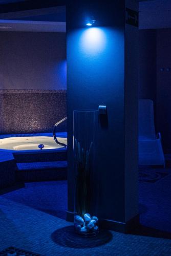 Hotel Promyk Wellness & Spa - image 13