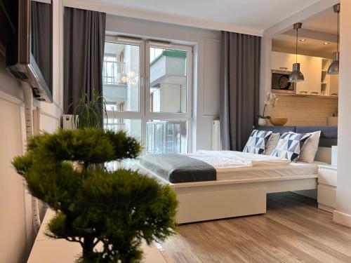 Airport Apartment Warszawa, Varsovia