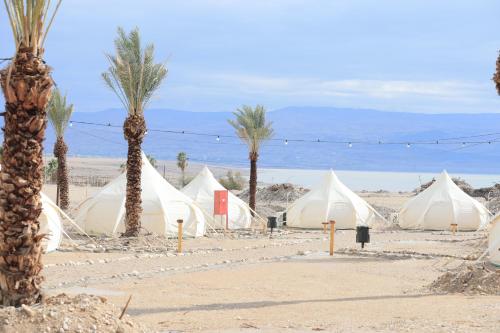 Surrounding environment, Tamar Land in North Dead Sea