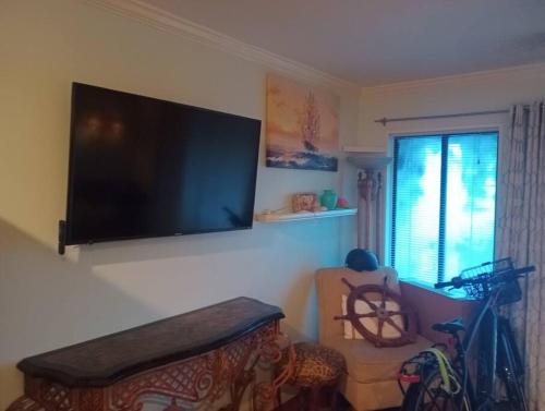 Lazy Shores Lazy Shores