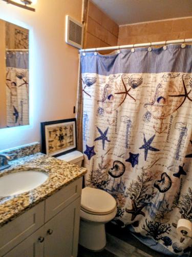 Lazy Shores Lazy Shores