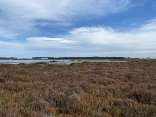 Camping Kbir in Moulay Bousselham