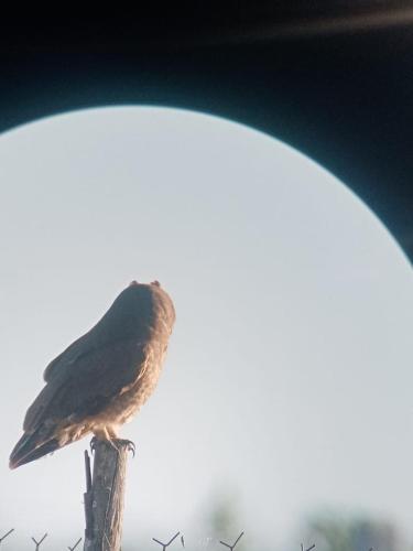 Camping Kbir in Moulay Bousselham