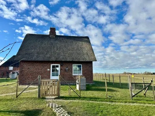 Haus Treibsel in Dagebüll, Deutschland