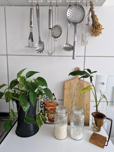 Apartamento inteiro, Florianópolis