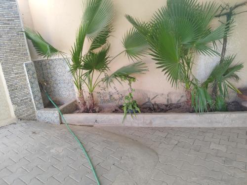 BIOtorisme BIOtorisme