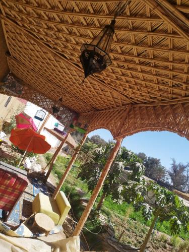 BIOtorisme BIOtorisme