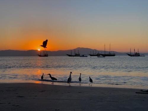 สภาพแวดล้อมโดยรอบ, Morada Praiana in กาโชเอย์รา โด บอม เชซุส