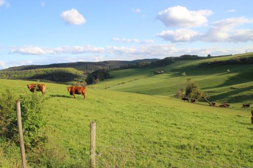 周邊環境, Ferienhaus Krämer (Ferienhaus Kramer) in 科普