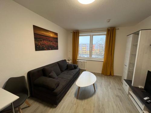 Moderne Studio-Apartments in Wolfen in Steinfurth, Deutschland