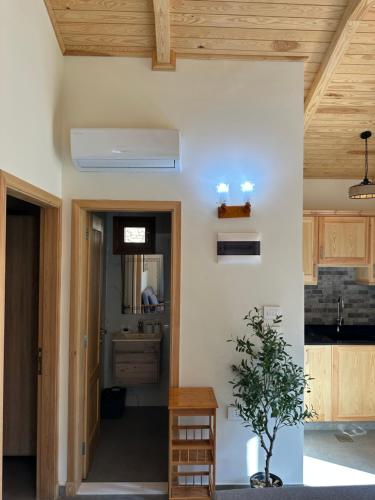 Riverside Jahliye, Chouf in Dourite