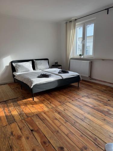 Schönes Zimmer im Zentrum in Oldenburg, Deutschland
