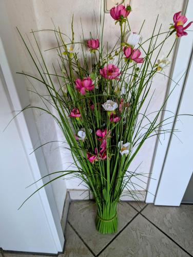 扬森公寓 扬森公寓