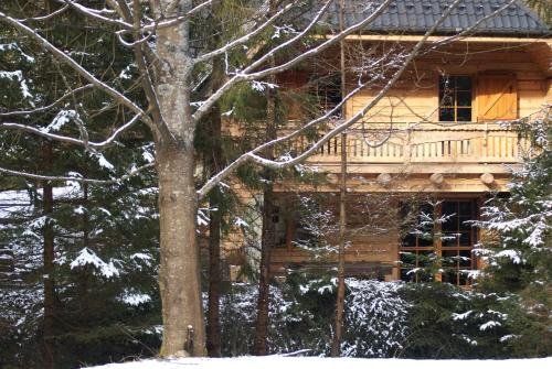 Forest House- dom nad górskim potokiem (Forest House- dom nad gorskim potokiem) in Skawica