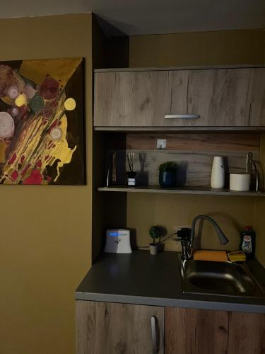 Skopje Apartment, Skopje (Foto 6)