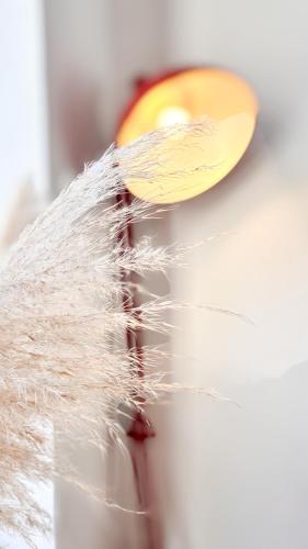 Historical center in apartment XVIII th century 5