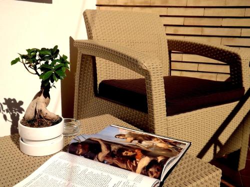 Homs Sweet Home - image 5