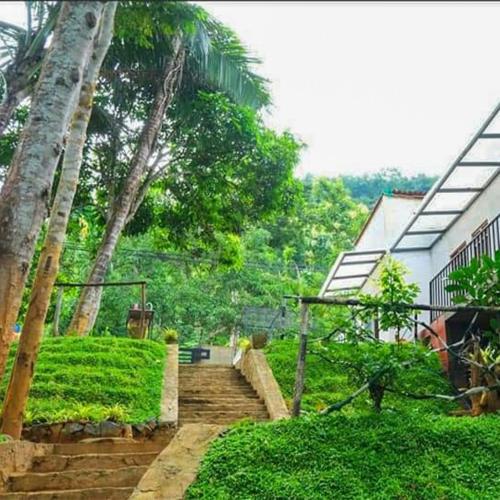 . Dhighayu Ayurvedic Wellness Resort