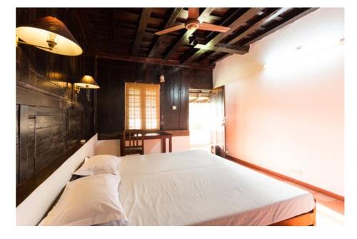 The Pamba Heritage Villa