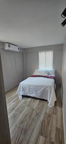 Lacewing near Hewanorra nemzetközi repülőtér