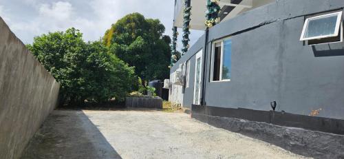 Lacewing near Hewanorra nemzetközi repülőtér