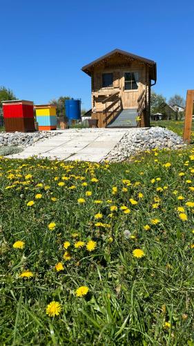 Apidomček na Gazdovom dvore obrázok