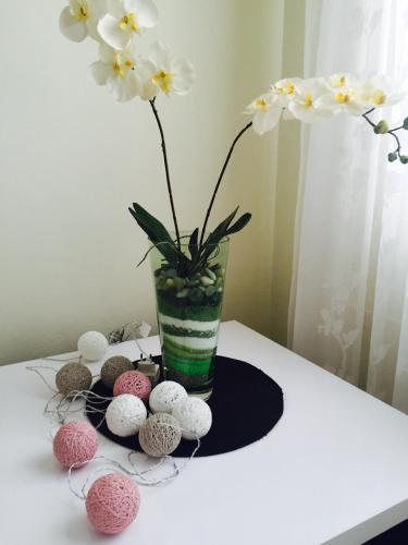  Guesthouse Villa Diana in Makarska