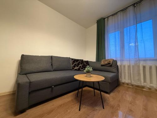 . Balvi center apartment